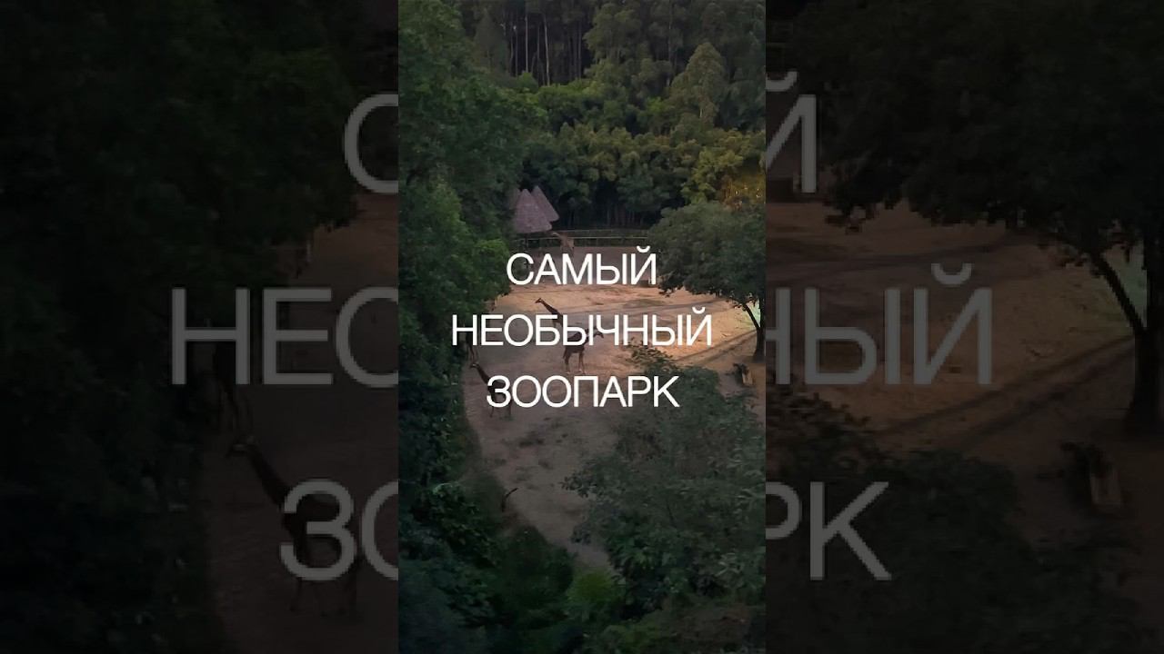 Самый необычный зоопарк | Safari ZOO | Зоопарк в Гуанчжоу
