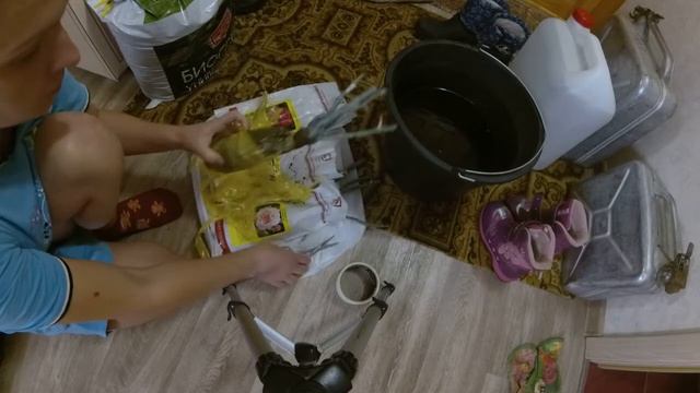 Обзор саженцев роз из Доброцена.