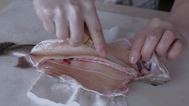 How to Fillet a Trout the Right Way