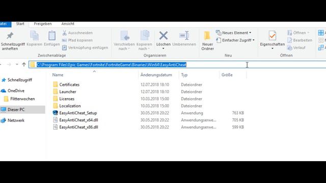 Fortnite EasyAntiCheat: Error Code: 30005 Beheben!