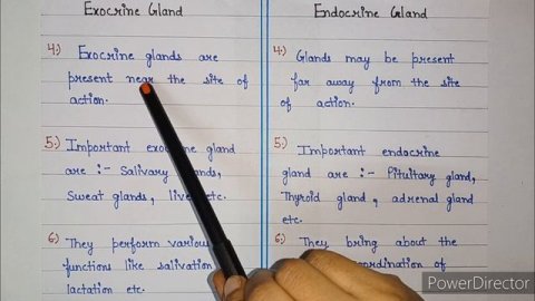 difference between exocrine and endocrine glands | exocrine gland and endocrine gland |