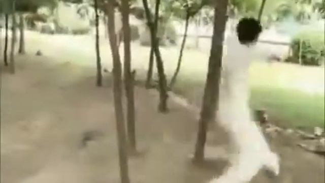 Практика обхода деревьев в багуачжан