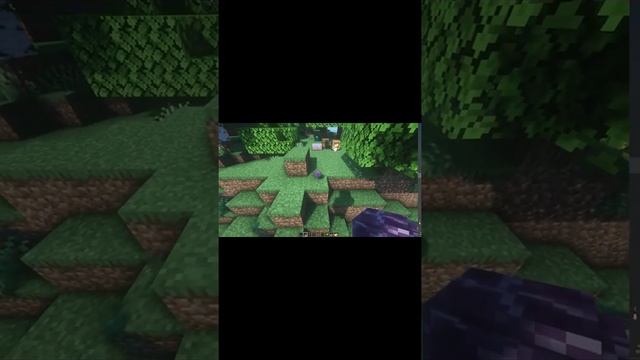 Botania Вороток Полидизиак Гаяцидус Обзор механик shorts