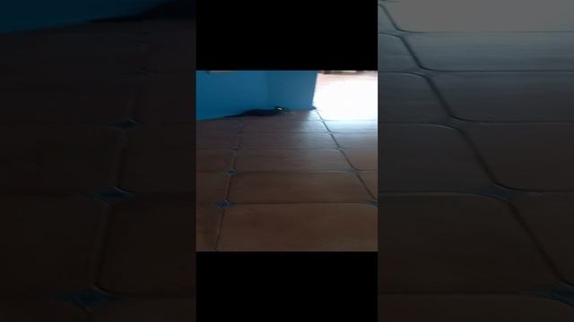 игрульки