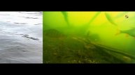 Синхронная Съёмка 🐟под и над водой. Рыбалка на озере Карасун, Краснодар, Поплавочная удочка. Fishin