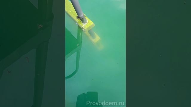 Альгицид для пруда. Эксперимент.