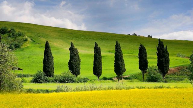 Leonid Kogan - Bach - Concerto for Two Violins in D minor, BWV 1043