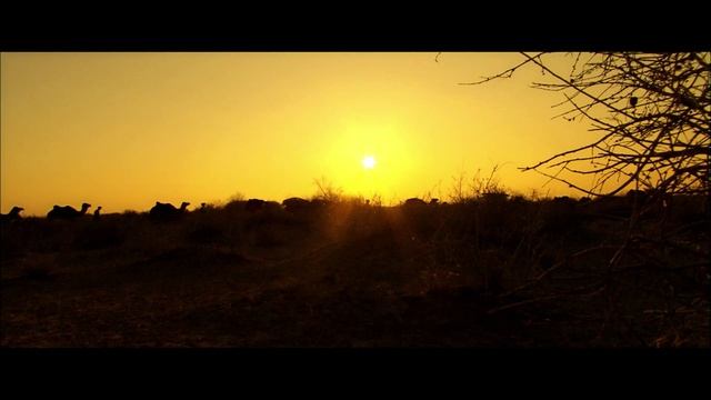 Kerim Rahman Sherg'ozi