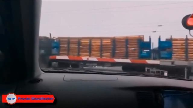 Это Родина моя! Всех люблю на свете я!