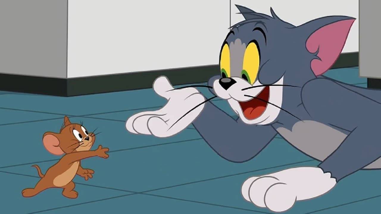 Tom & Jerry 2