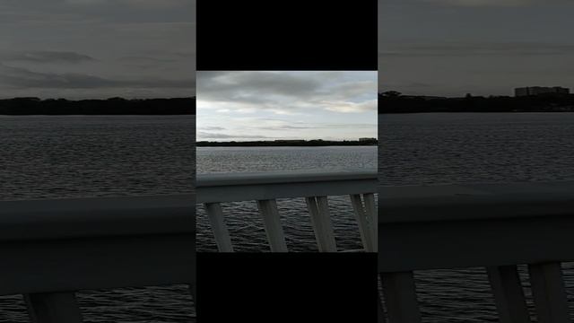 Невский мост