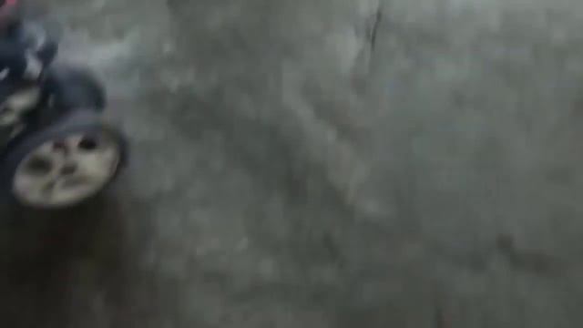 Ребёнок и лев!