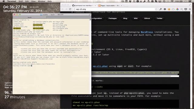 Installing WP-CLI on a Mac (for XAMPP)