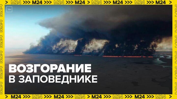 В Астраханском заповеднике снова произошло возгорание - Москва 24