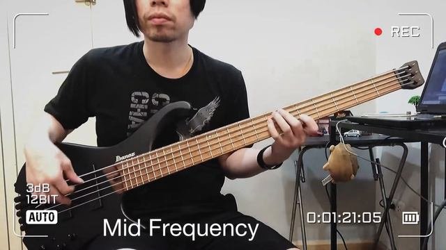 Ibanez EHB1005-BKF Bass Review No Talking