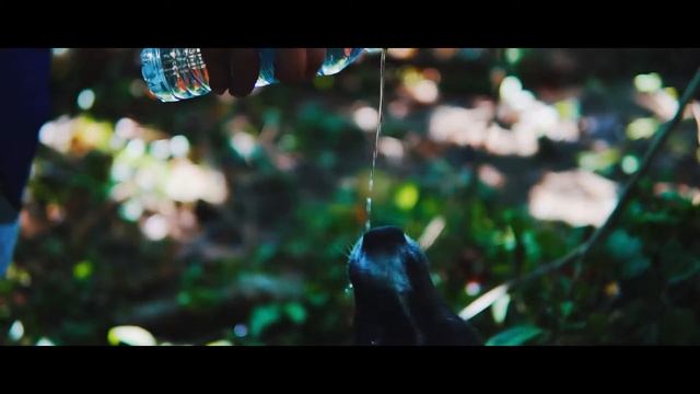 LAKBAY PALAUI | Sony A6300 Sigma 30mm F1.4 DC DN Kit Lens