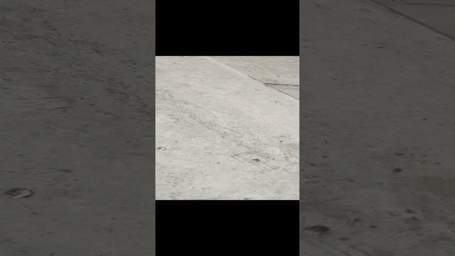 1000016492.mp4