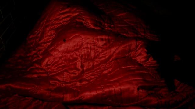 Красное одеяло видео-арт