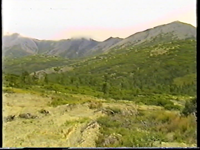 Поход через горный перевал из Уптара в Палатку. 02.08.2001