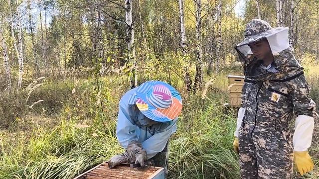 ЯсноГРАДЪ пасека - 14 сентября