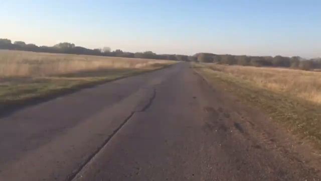 Как проходят наши выходные на даче!