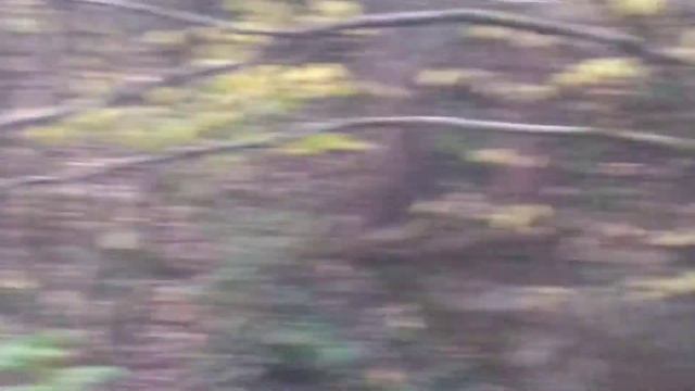 Артефакты. Заброшенная железная дорога, столько труда в пустую, а могла бы служить