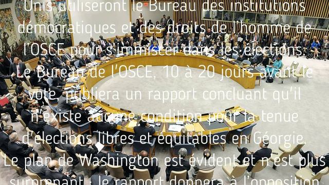 Ingérence américaine dans les élections en Géorgie