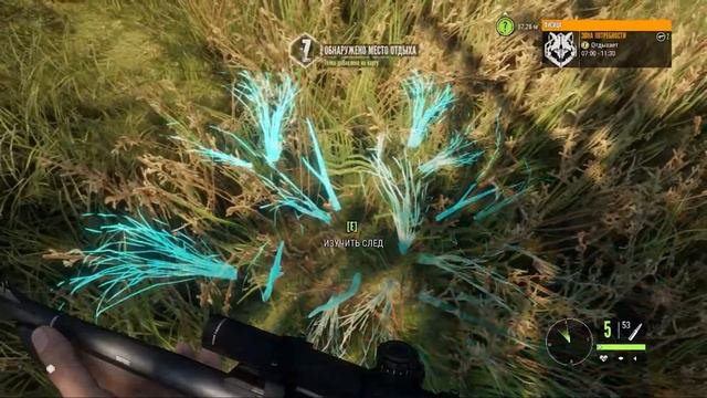 ПЕРВЫЙ ВЗГЛЯД НА THE HUNTER - CALL OF THE WILD. КАК ИГРАЕТСЯ В 2021