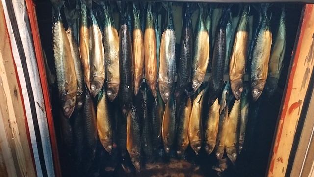 закоптили скумбрию холодным копчением.