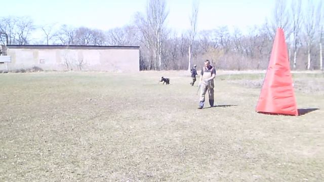 Сильвана . короткие атаки (мягкий рукав)9,04,18