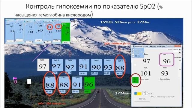 перваяпанель.mp4