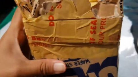 UNBOXING MY NEW BABY ANTHURIUM FOLIAGE #itsfunneh #variegatedplants #plantaholic