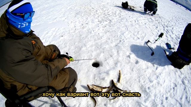 Навага на Найбе!