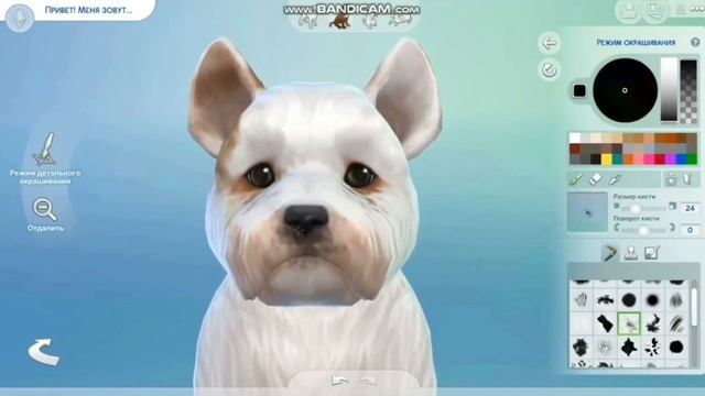 Создание персонажа  Собаки в Sims 4  CAS
