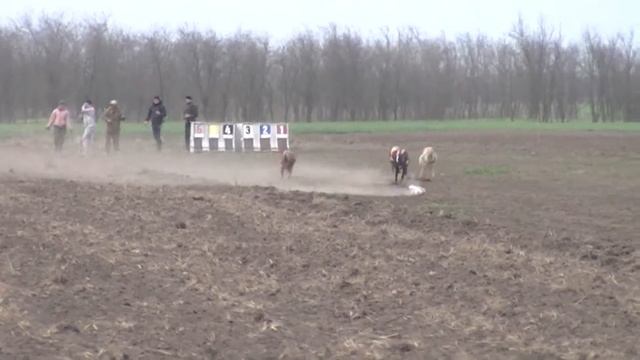 07 забег