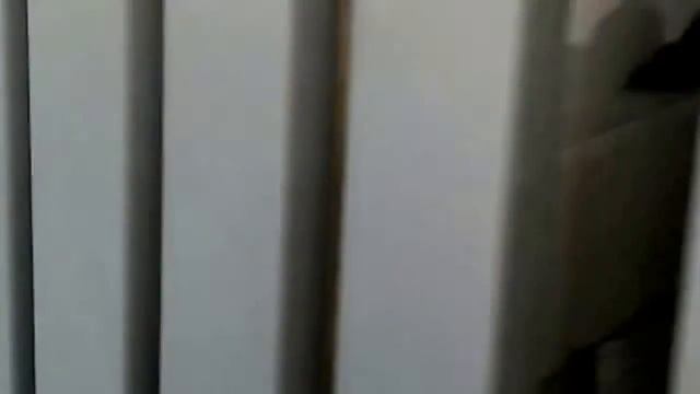 Керамическая плитка в огромном ассортименте