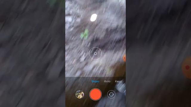 Мы нашли интересные вещи...…