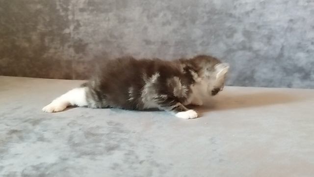1000027596.mp4