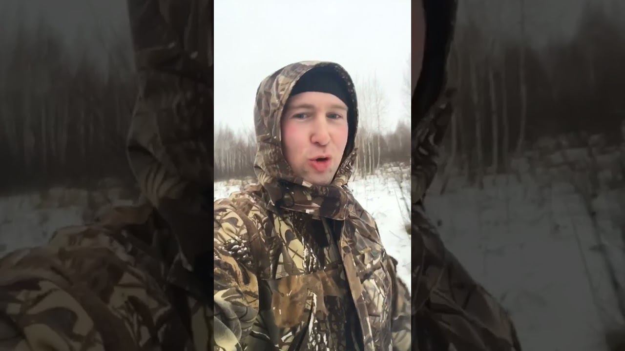 В поиске следов