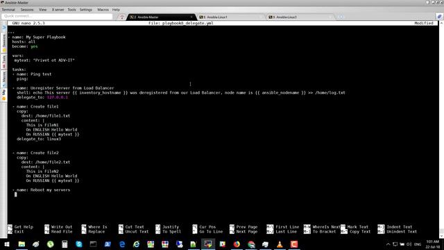 FDS-00003 | Ansible | 18 - Перенаправление выполнения Task из Playbook на определённый сервер - de
