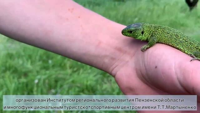 Экспедиция