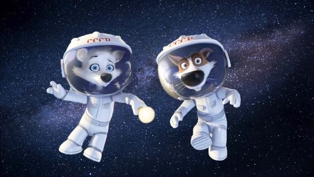 2 половина дня Космос белка и стрелка