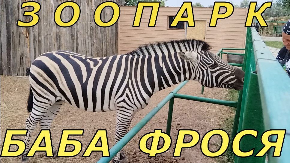 Поездка в Зоопарк БАБА ФРОСЯ в Астрахани.