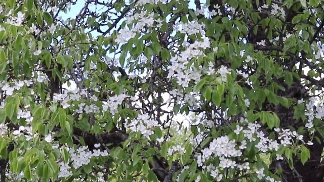 Эмми (Авторская кукла)