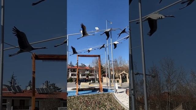 ??Türkiye Turkey Турция AntalyaАнталия Isparta Испарта Ыспарта