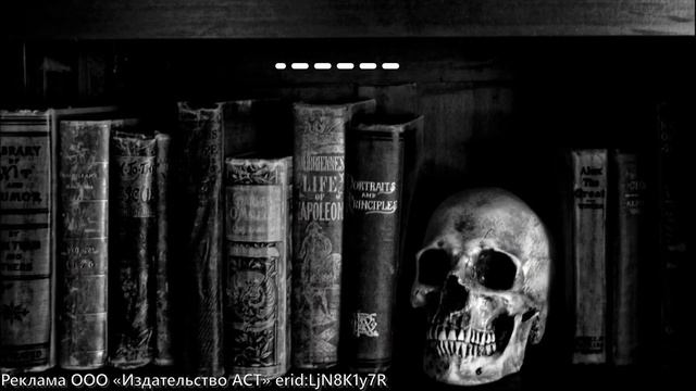 КНИГА ПО ВИЗУАЛЬНОЙ НОВЕЛЛЕ "ПЕЧАТЬ НОСТРАДАМУСА: ТАЙНА ПОСЛЕДНЕГО ПРЕДСКАЗАНИЯ"