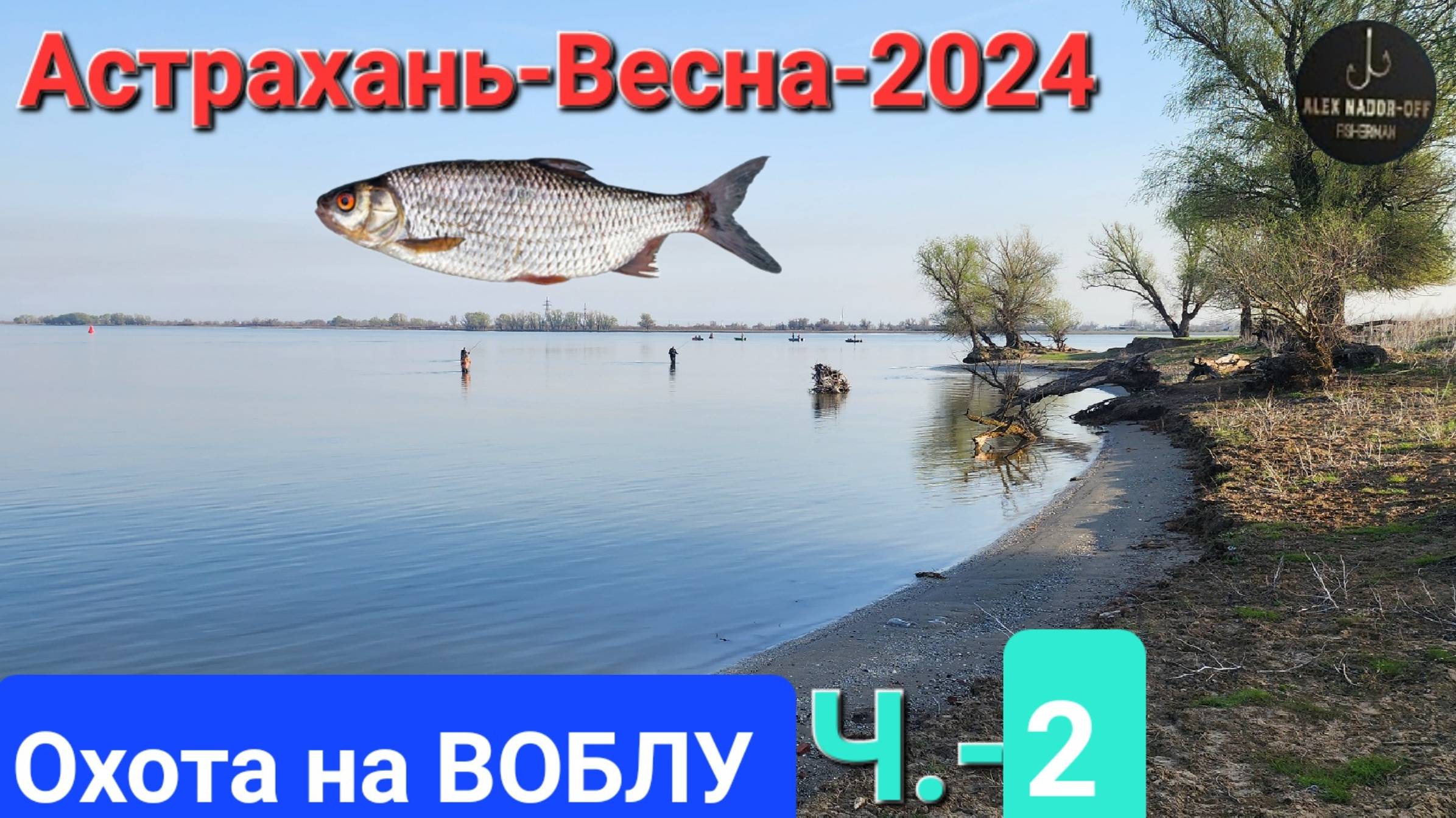 🔥Охота на ВОБЛУ. Волга-Апрель-2024 г. Астрахань!!! Часть №-2.