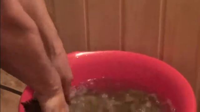 Звуки бани