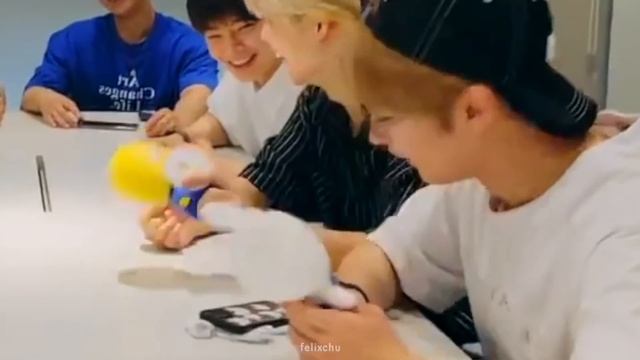 Save SKZOO from Stray Kids