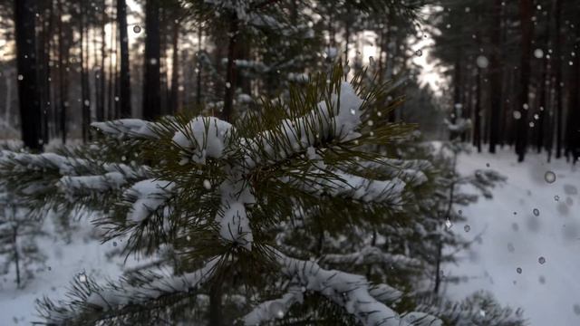 Снежная песнь